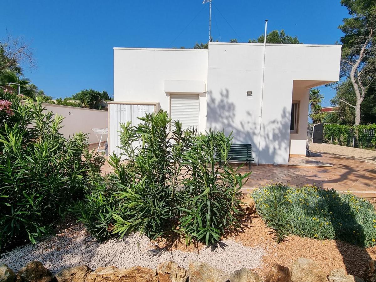Villa Edoardo Con Pineta A 250 Metri Dal Mare Torre Squillace Exterior photo